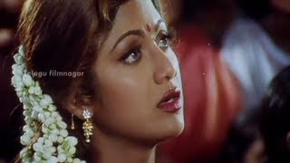 Sahasa Veerudu Sagara Kanya Scenes  Shilpa Shetty warned by a witch  Venkatesh [upl. by Noir954]