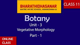 Botany  Class 11  Chapter 3  Vegetative Morphology  Part 1 Bharathidhasanar [upl. by Cohdwell]