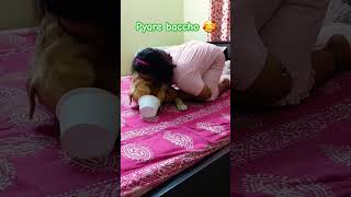 Didi ka piyar Cocose 🥰song music dog dogowner doglover shortvideo cute labrador pets coco [upl. by Llednew594]