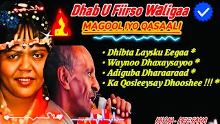 MAGOOL IYO QASAALI  DHAB U FIIRSO WALIGAA  LYRICS 2024  HEES MACAAN QARAAMI WAAYO WAAYO  QAACI [upl. by Irim768]