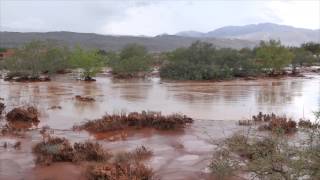 Kayenta amp Snow Canyon Flash Flood [upl. by Towers]