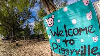 Welcome to Piggyville Feeding the Abaco Swimming Pigs in No Name Cay Bahamas  Ep25 [upl. by Aivatnahs]