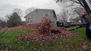 Pushing Leaves  Making Piles 🍁 [upl. by Yuria]