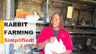 Rabbit Farming 101 How to Start a Profitable Rabbit Farm StepbyStep Guide [upl. by Norwood507]