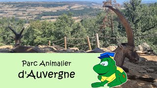 Parc Animalier dAuvergne 2023 [upl. by Bee]