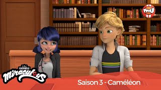 Miraculous saison 3  Caméléon  Bande annonce [upl. by Coralie]