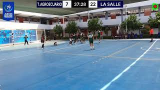 T AGROPECUARIO vs LA SALLE varones Cat C  etapa regional handballArequipa HSCA mododificil [upl. by Yeloc55]