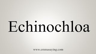 How To Say Echinochloa [upl. by Clynes810]