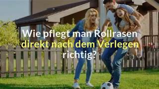 Wie pflegt man Rollrasen direkt nach dem Verlegen richtig [upl. by Ahsiki461]