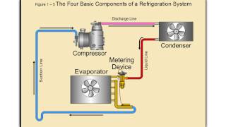 Online HVAC Training  Commercial Refrigeration [upl. by Artenak]