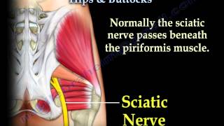 Muscle Anatomy Of The Hips amp Buttocks  Everything You Need To Know  Dr Nabil Ebraheim [upl. by Nybor]