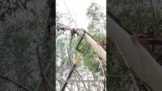 Tree Hanging Rope Gadget Working Process [upl. by Esinev387]