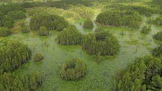 09062024 Drone Video Behind Polo Park [upl. by Ebner803]