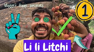 Li Li LiTCHi  Vlog 125 [upl. by Mirelle]