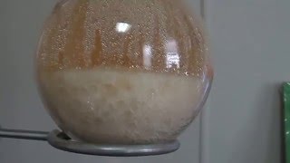 Nitric Acid from cold packs and Drain cleaner [upl. by Lokim538]