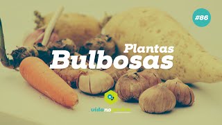 Plantas Bulbosas [upl. by Anilegnave468]