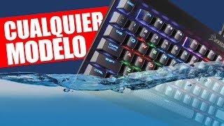 ✔ COMO LIMPIAR UN TECLADO MECÁNICO Y SUS SWITCHES ⌨ Fácil efectivo y sin dañarlo [upl. by Annavoeg]