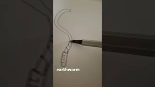 quotearthwormquotHow to draw an earthwormlivedrawing art howtodraw contemporaryart animals drawing [upl. by Wachter190]