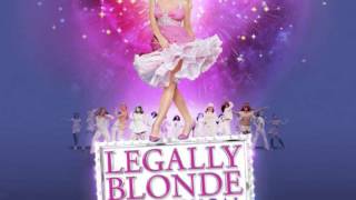 Legally Blonde  Positive With Backing Vocals KaraokeInstrumental [upl. by Wengert]