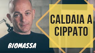 La caldaia a cippato è una valida alternativa alla caldaia a pellet o legna [upl. by Pisarik]