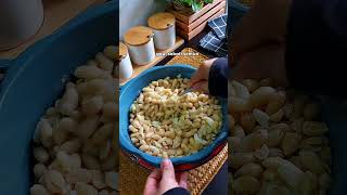 Kacang goreng bawang putih rangup dan sedap [upl. by Ullman7]