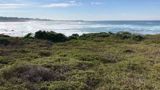 Casual Asilomar Dunes timelapse Pacific Grove CA 2017 [upl. by Attinahs993]