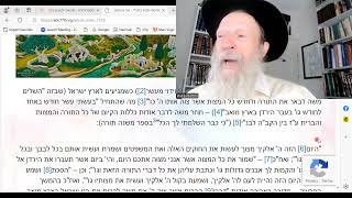 Dvar Malchut Yehudim Jews Thank Gd in word and DEED for EVERYTHING [upl. by Hazaki]