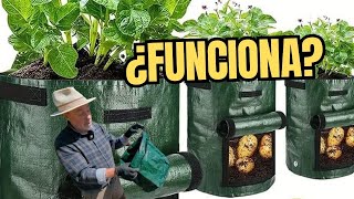 Probamos la BOLSA DE CULTIVO de TEMU para cultivar patatas zanahorias y otros vegetales [upl. by Aicatan206]