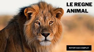 DOCUMENTAIRE ANIMALIER  LE REGNE ANIMAL  REPORTAGE COMPLET [upl. by Nnawtna]