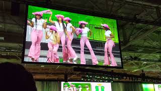 Alpha Kappa Alpha Boule 2024 💚 ChicagoLand AKAs Step Into Dallas  71st AKA Boule Stroll Showcase [upl. by Willock]