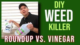 Quick Tip Is DIY vinegar weed killer better than Roundup [upl. by Eirelav]