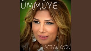 Aptal Gibi [upl. by Haliak]