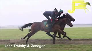 Newmarket Gallops 030824  Julia Feilden Racing [upl. by Dallas]