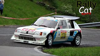 Peugeot 205 T16 Evo 2 Group B  Starts  Sound  Flames  Tribute [upl. by Hplodur]