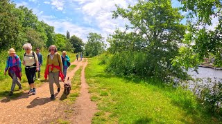 Rainy London River Thames Walk From Hampton Court To Teddington 4K [upl. by Willis]