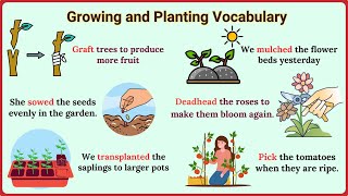 Lesson 172 Action Verbs for Gardening A Practical Vocabulary Lesson  Growing and Planting verbs [upl. by Bethina]