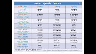 Samskritam  Noun Declensions amp Verb Conjugations  httpstinyurlcomy5gzegzd [upl. by Gnel]