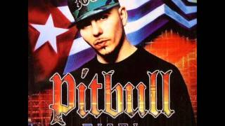 Pitbull  Dammit Man feat Piccalo [upl. by Ollecram46]