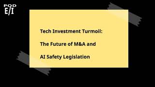 Tech Investment Turmoil The Future of MampA and AI Safety Legislation [upl. by Ahsac]