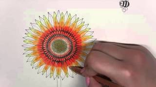 Secret Garden Coloring Book  Sunflower [upl. by Devy]