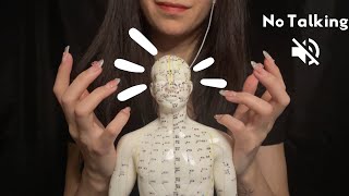 Fast amp Aggressive Acupuncture doll tapping ASMR tapping scratching gripping [upl. by Ardnoed]