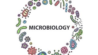 Campylobacter Jejuni Microbiology PathologyMBBS [upl. by Sill165]