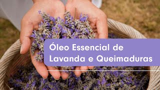 Óleo Essencial de Lavanda em queimaduras  Como Usar  By Samia Aromaterapia [upl. by Berkly]