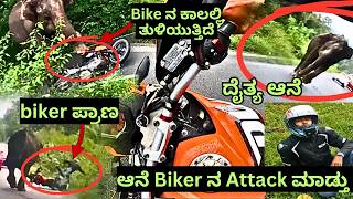 ಬಂಡಿಪುರದಲ್ಲಿ ನಮ್ಮನ್ನು🐘ದೈತ್ಯ ಆನೆAttack🥸ಮಾಡ್ತು ನನ್ನ ತಮ್ಮ Just Miss ಆದ ಬೈಕ್ Damageelephantattack2024 [upl. by Anaerol]