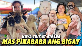 DAMING PASABOG  GROTTO PET MARKET UPDATE  NOVEMBER 03 2024 [upl. by Nevada]