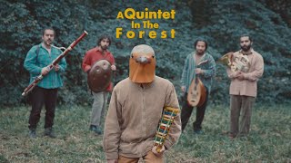 A Quintet in the Forest  Omid Shabani Official Music Video [upl. by Lesoj]