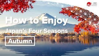 How to Enjoy Japans Four Seasons  Autumn [upl. by Kronick]