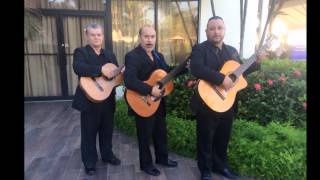 TRIO LOS ROSARIO VIDEO PROMOSEPTIEMBRE 2015mp4 [upl. by Eisaj]