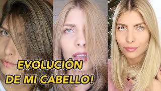 CÓMO FUE ACLARAR MI CABELLO DE FORMA NATURAL  POR QUÉ LO HICE EVOLUCIÓN DE MI CABELLO [upl. by Senn]