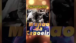 Jogo de Angola mestre cobra mansa e mestre camaleão capoeira mundodacapoeira artesmarciais [upl. by Nyrhtac]